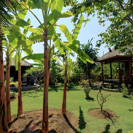 Sawah Lovina