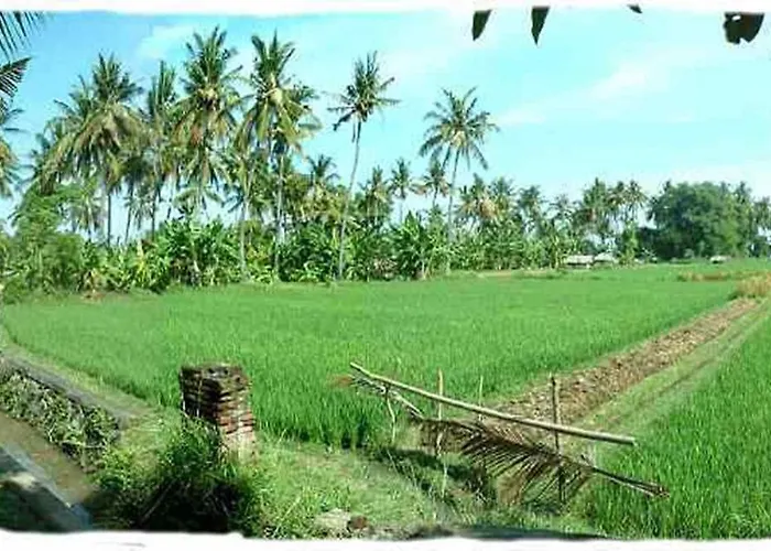 ホリデーパーク Sawah ロヴィーナ